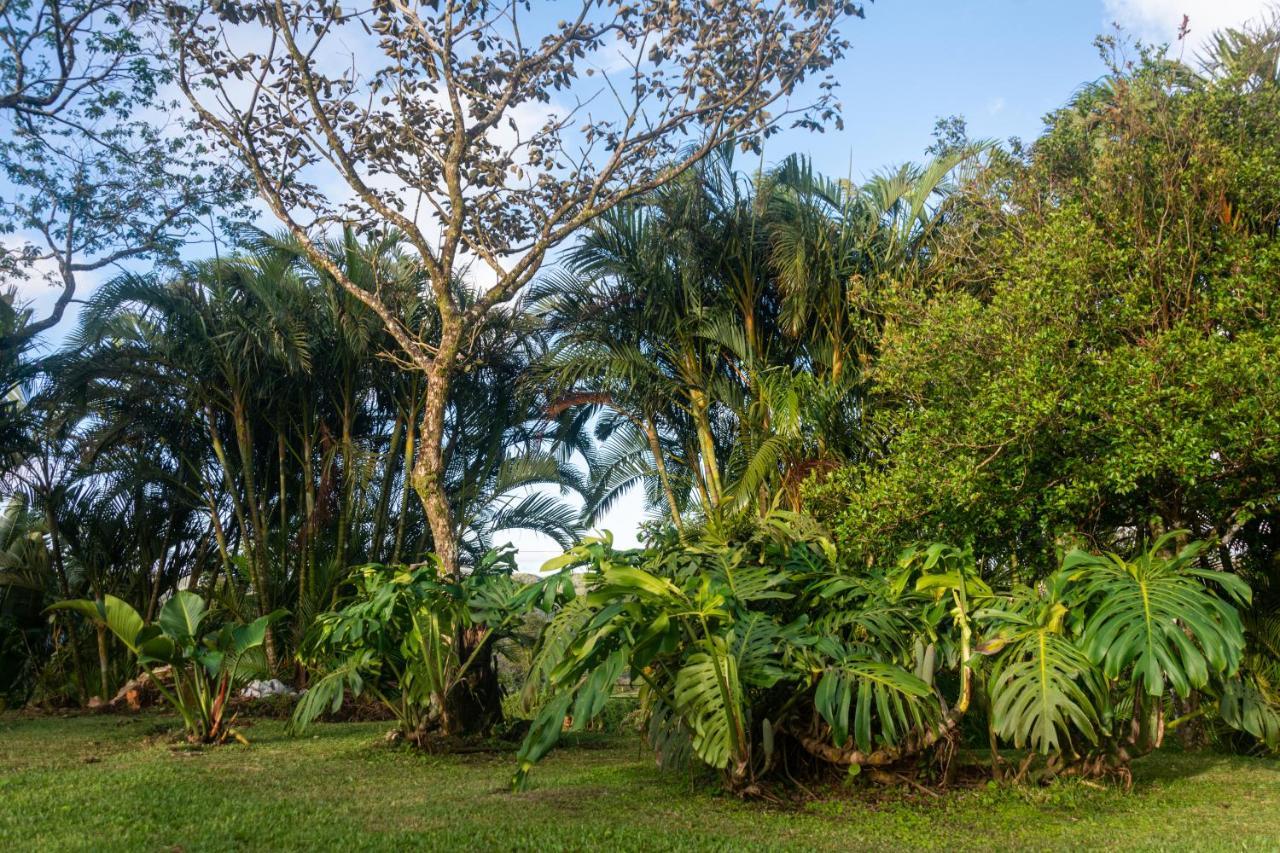Piedras Vista Lago Arenal المظهر الخارجي الصورة